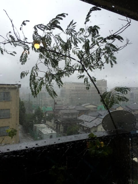 台風の風向き