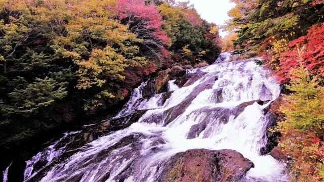 奥日光・竜頭の滝の紅葉