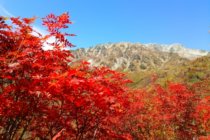 立山の紅葉