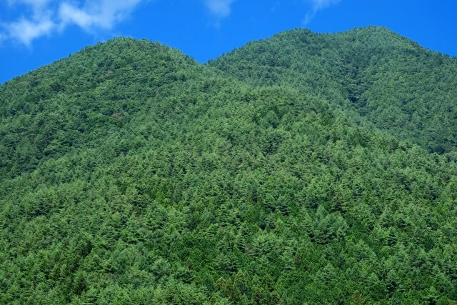 林 割合 林 天然 の 人工 と 都道府県別森林率・人工林率（平成29年3月31日現在）：林野庁